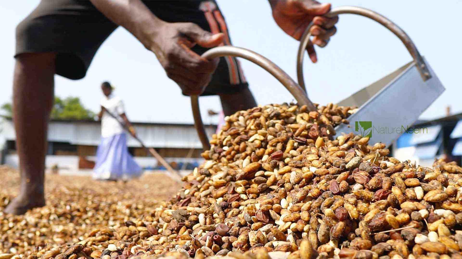 Nature Neem Gerechter und fairer Handel