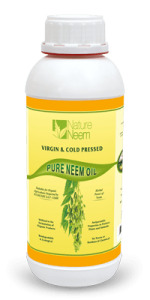 Nature Neem Pure Neem Oil : Cold pressing the seed kernel of good quality segregated matured neem seeds