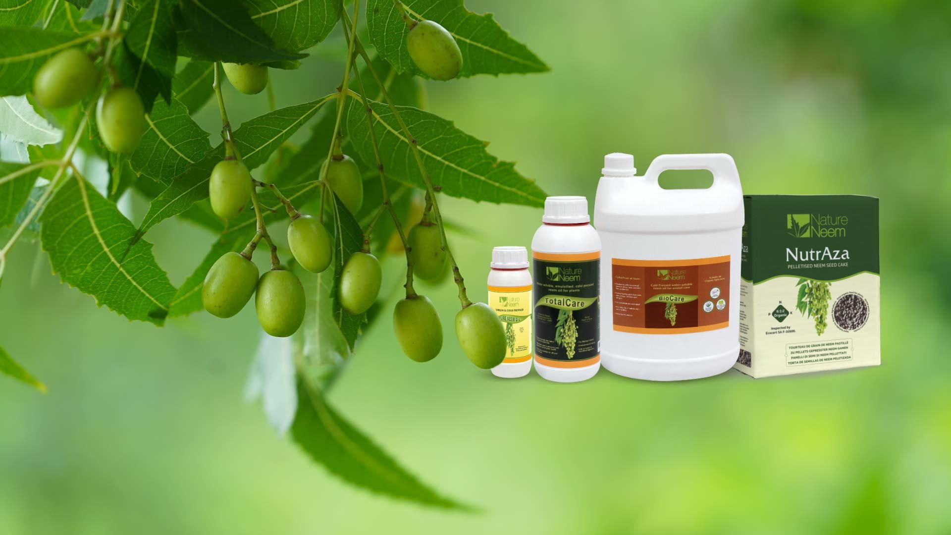 Nature Neem Products - Direct from India